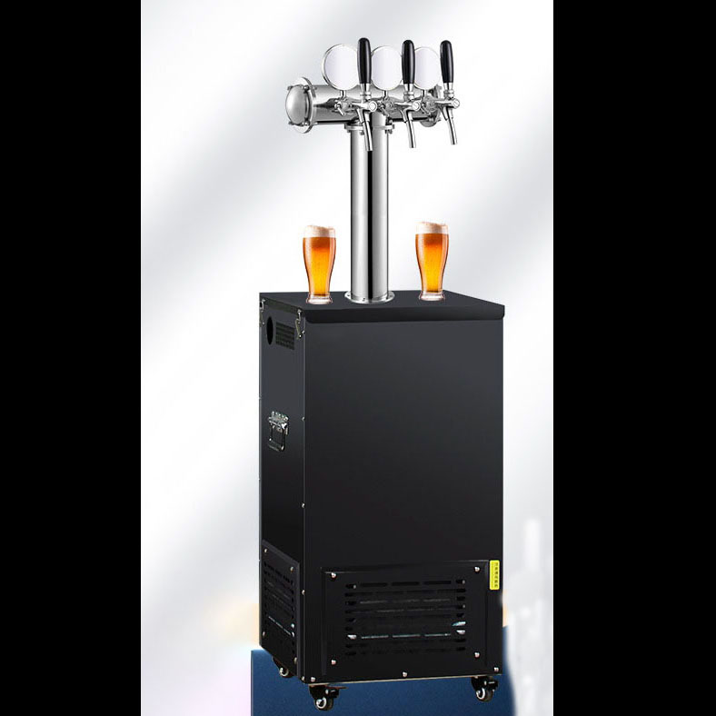 عشاق النبيذ البيرة Kegrator قس - مراجعة Wine Draft Beer وسعره
